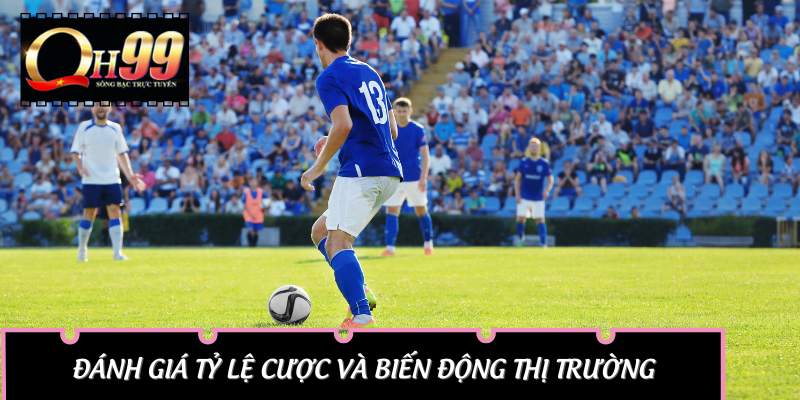 Đánh giá tỷ lệ cược và biến động thị trường